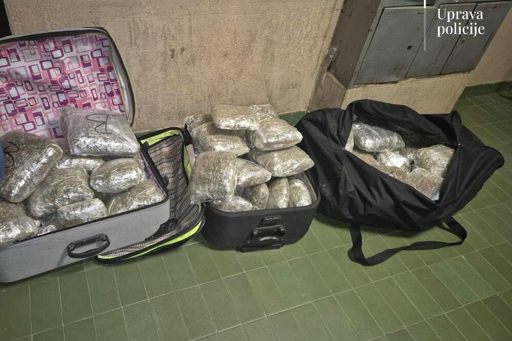 Zaplijenjena droga, Foto: Uprava policije