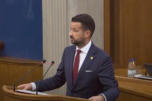 Milatović uputio pismo poslanicima: Mirjana Vučinić kandidatkinja...