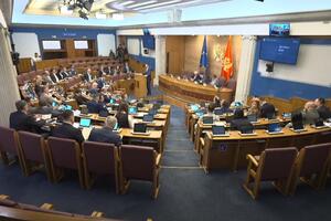 BLOG Živković: DPS će glasati za Vučinić