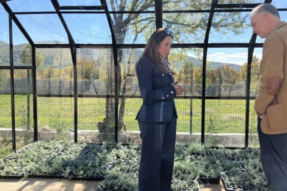 Izvršna direktorica NVO SOS telefon za žene i djecu žrtve nasilja - Nikšić Nataša Međedović i menadžer Programa za demokratizaciju u Misiji OEBS-a u Crnoj Gori Bernd Burwitz u stakleniku sa biljkama smilja, Foto: OSCE/Zorica Ćeranić