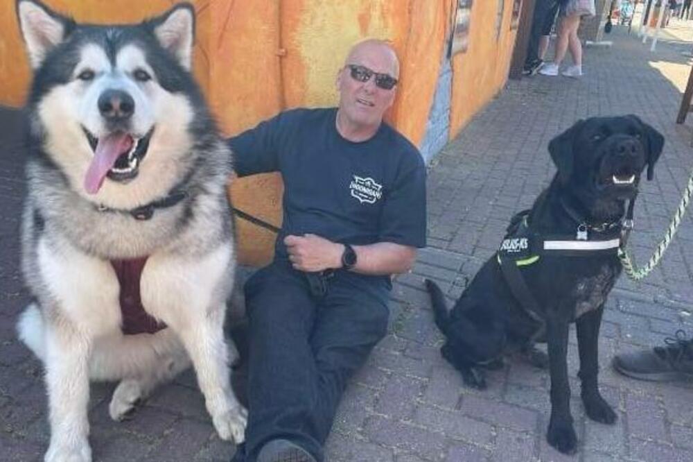 Mal, aljaski malamut težak 82 kilograma, postao je „lokalna slavna ličnost“, kaže njegov vlasnik, Foto: Amy Sharp