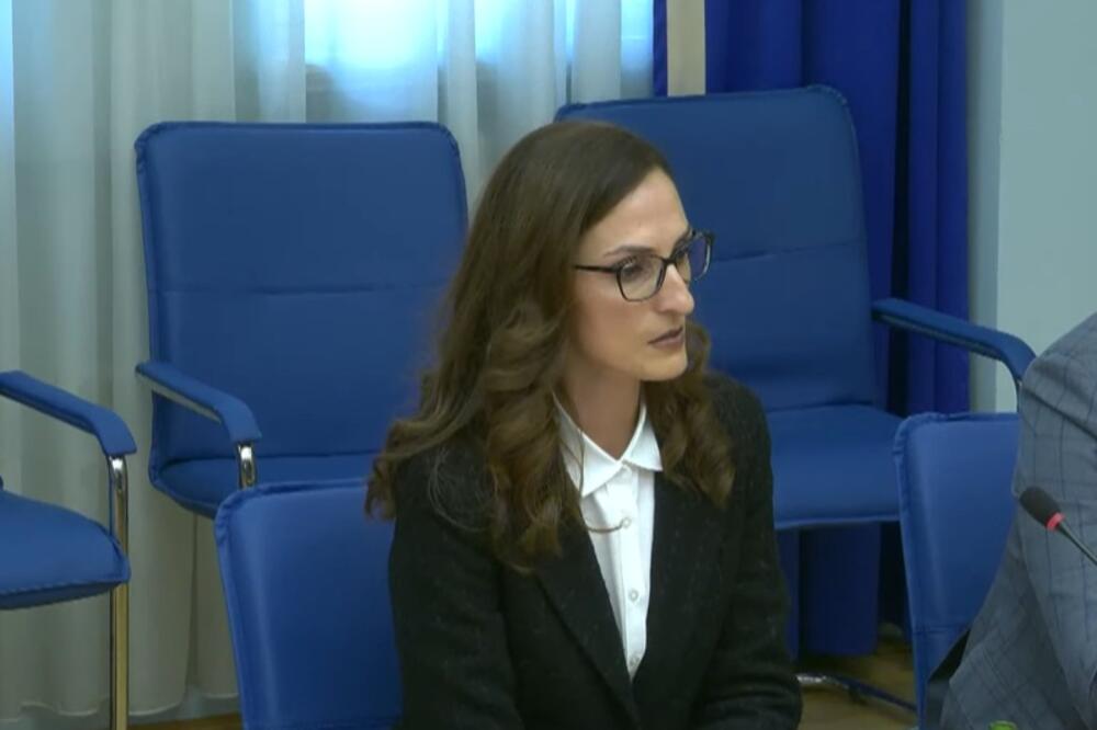 Radulović na sjednici, Foto: Screenshot/YouTube/Skuština Crne Gore