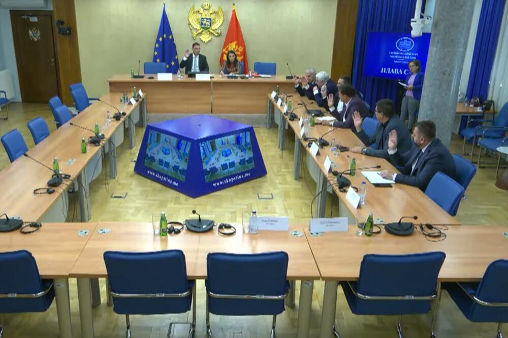 Sa sjednice, Foto: Screenshot/YouTube/Skuština Crne Gore
