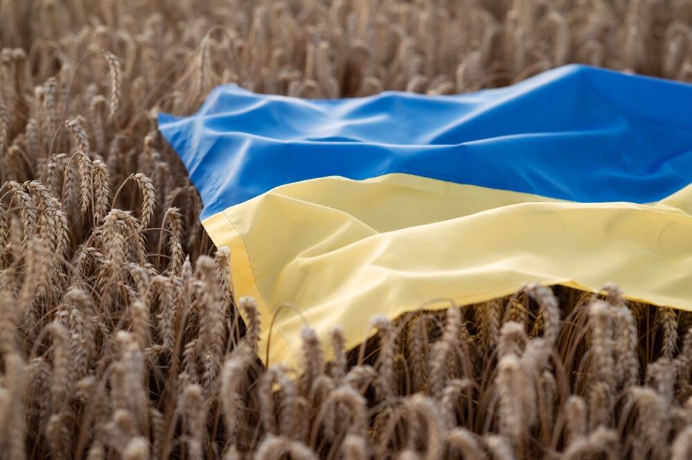 Ilustracija, Foto: Shutterstock