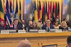 Bassani: Crna Gora vodeći reformator u regionu