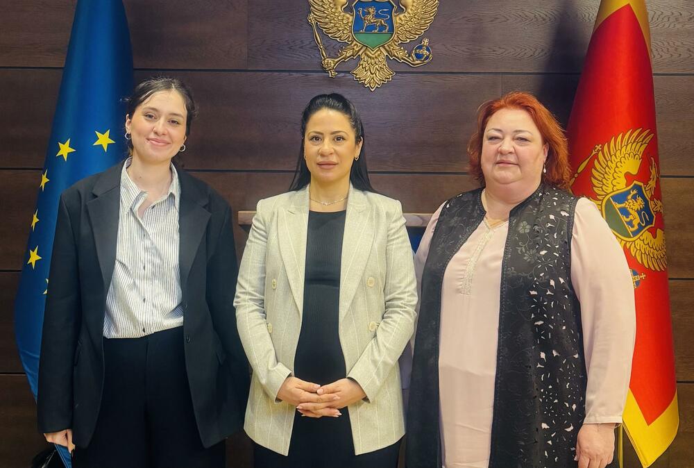 Vuković i NVO "Prima": Kazne za krivična djela obljube nad...