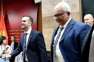 Vraća se tango DPS-a i DF-a: Šta je pokazalo istraživanje CEDEM-a