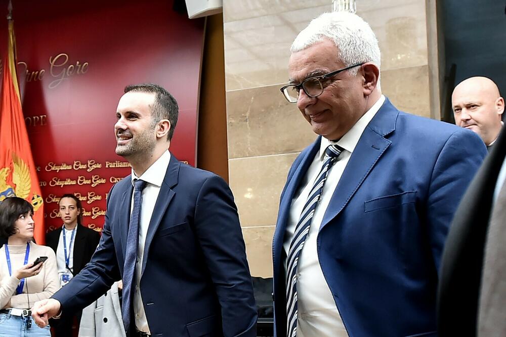 Ko je najjači u Vladi: Spajić i Mandić, Foto: Saša Matić/Vlada Crne Gore
