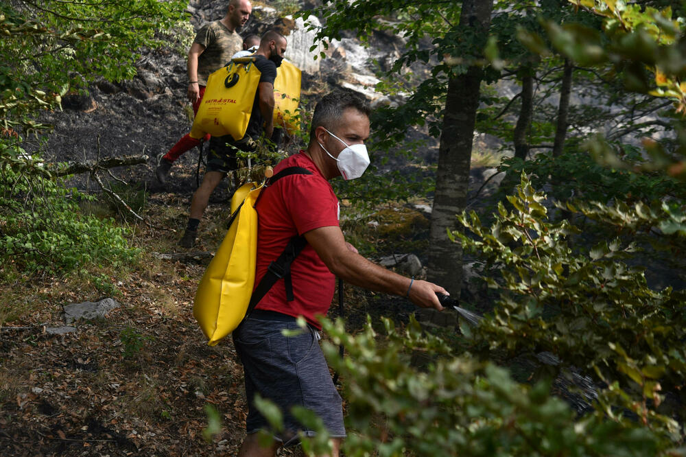 Građani pomagali i tokom ljetošnjih požara (ilustracija), Foto: BORIS PEJOVIC