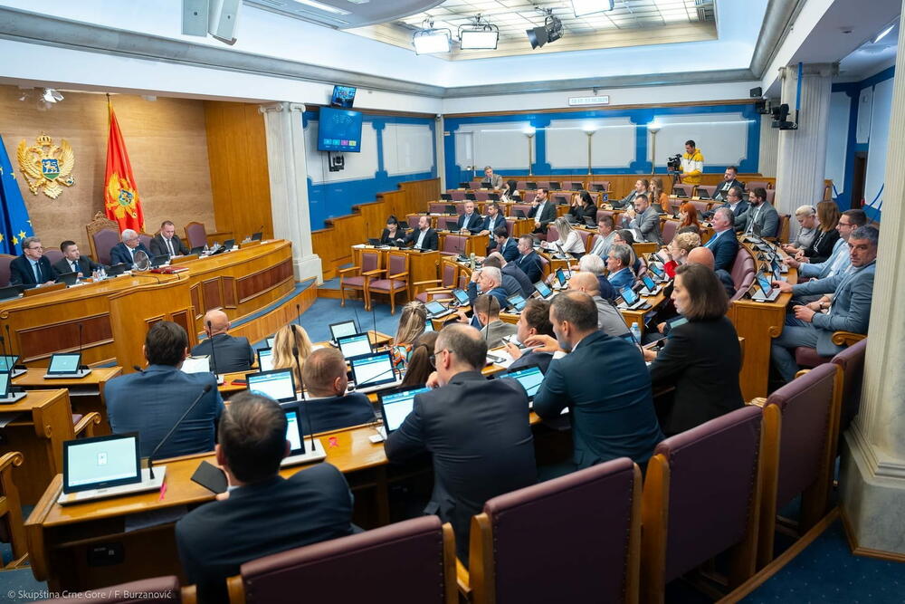 Črna gora sprejela zakon o enotnem strokovnem ocenjevanju invalidnosti