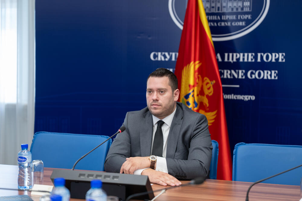 Skupština imenuje svog predstavnika u Misiji Crne Gore pri EU