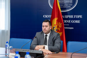 Skupština imenuje svog predstavnika u Misiji Crne Gore pri EU