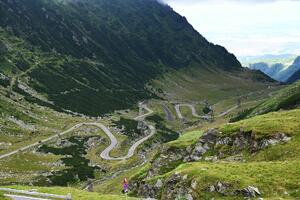 Transfagarašan – carstvo medvjeda