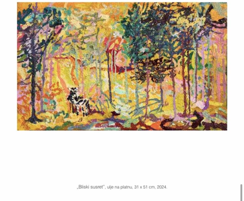 “Bliski susret”, N. Đuranović