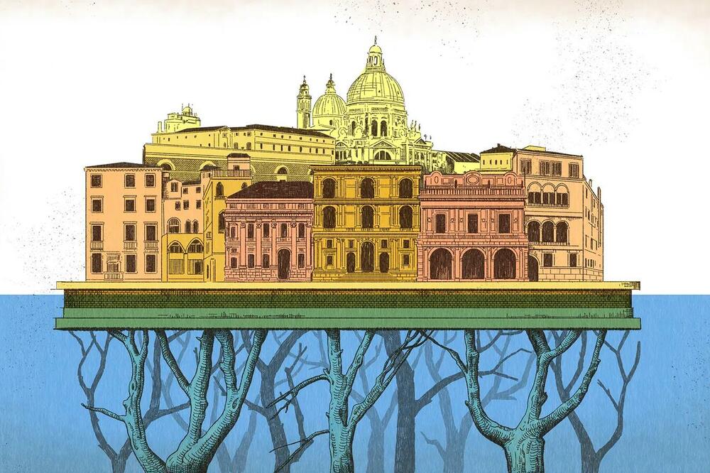 Foto: Emmanuel Lafont/BBC