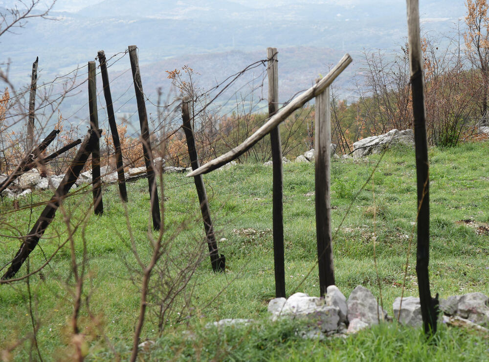 <p>Iz Glavnog grada kazali da je ukupna šteta procijenjena na blizu 500.000 eura, najviše na zasadima vinove loze... Niko kome je izgorjela kuća ili imanje još nije obeštećen, ako jeste, volio bih da me demantuju, kaže Milovan Marković</p>