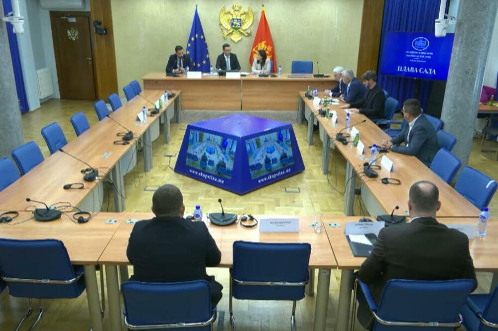 Foto: Skupština Crne Gore/Youtube