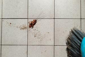 Žena zapalila zgradu u Južnoj Koreji u pokušaju da spali bubašvabu