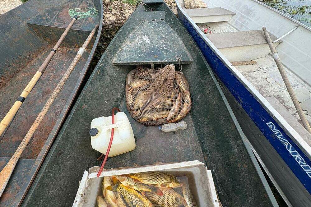 Zaplijenjena sredstva i riba u krivolovu na Skadarskom jezeru, Foto: JP Nacionalni parkovi Crne Gore