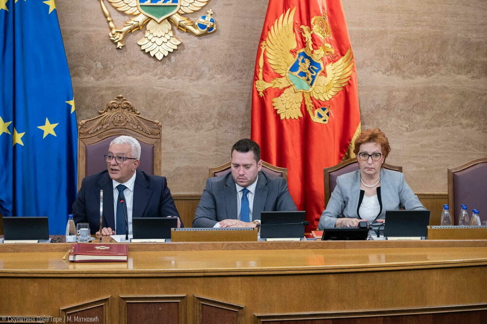 Skupština se sistemski priprema za članstvo u EU: Stanišić (u sredini), predsjednik parlamenta Andrija Mandić i potpredsjednica Zdenka Popović, Foto: Skupština