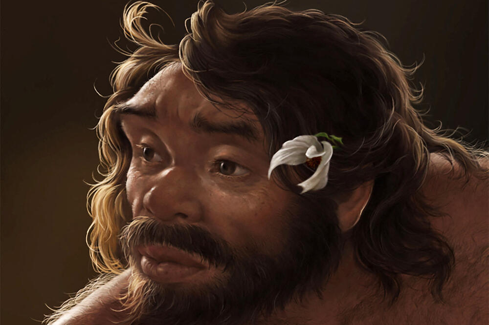 Ilustracija umjetnika prikazuje glavu odraslog muškarca koji je živio prije otprilike milion godina u kineskoj provinciji Hubei, na osnovu digitalne rekonstrukcije fosilizovane lobanje arhaičnog čovjeka poznate kao Junsijan 2, Foto: Reuters