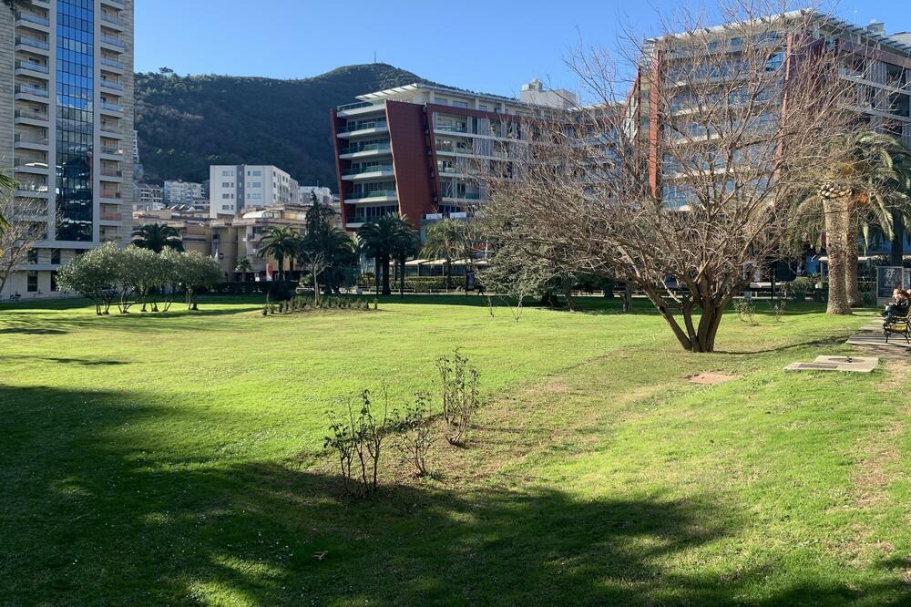 Parcela na kojoj je planirana gradnja, Foto: Vuk Lajović