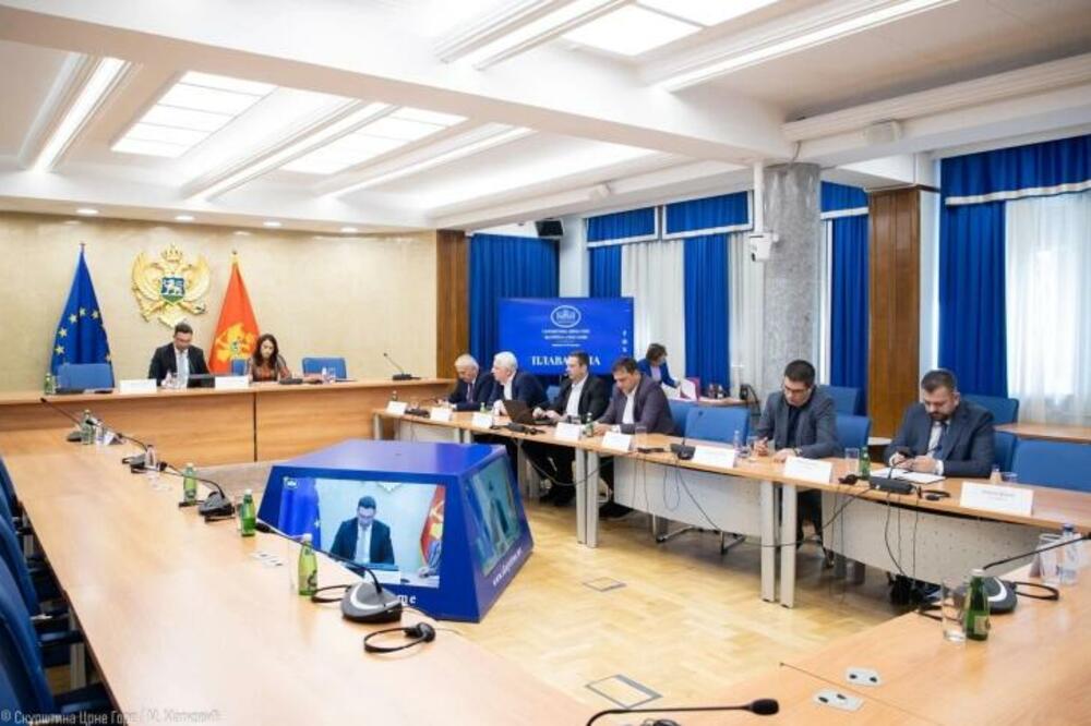 Foto: Skupština Crne Gore/M.Matković