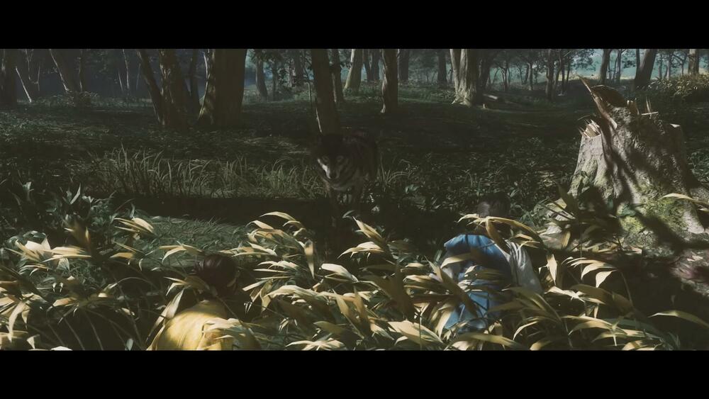 <p>Borba je preciznija, svijet mističniji, a priča fragmentisana te igra zahtijeva emotivnu posvećenost i nagrađuje je osjećajem ispunjenosti</p>