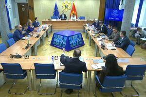 Izvještaj o radu Tužilačkog savjeta i Državnog tužilaštva bez...