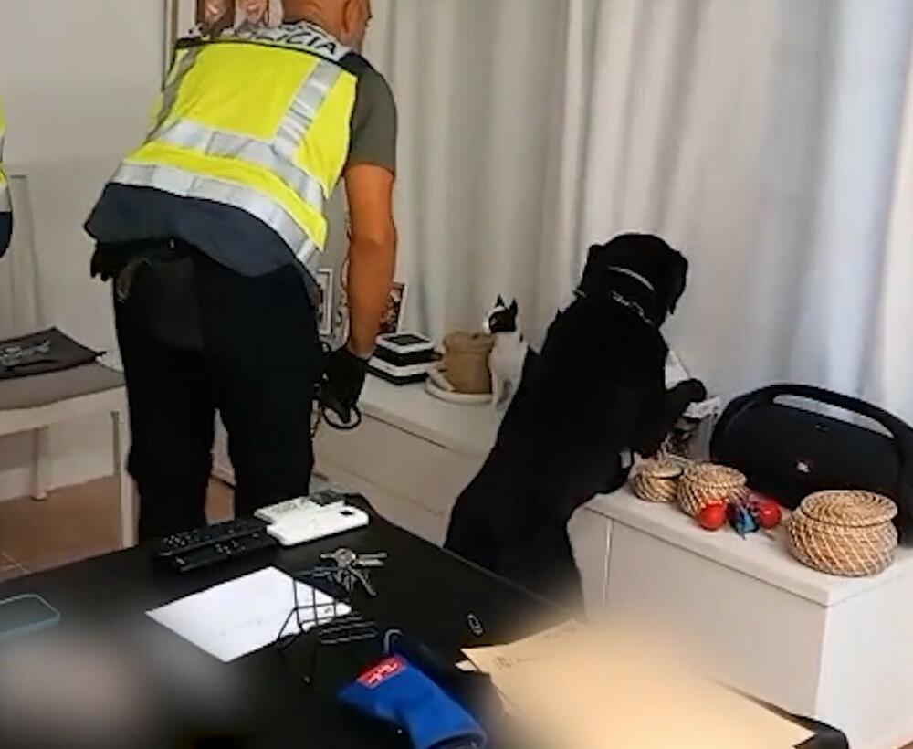 Detalj iz akcije 'Spider'