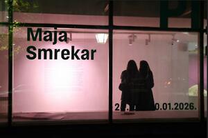 Bilješke iz „Pokreta ružičastog horizonta”