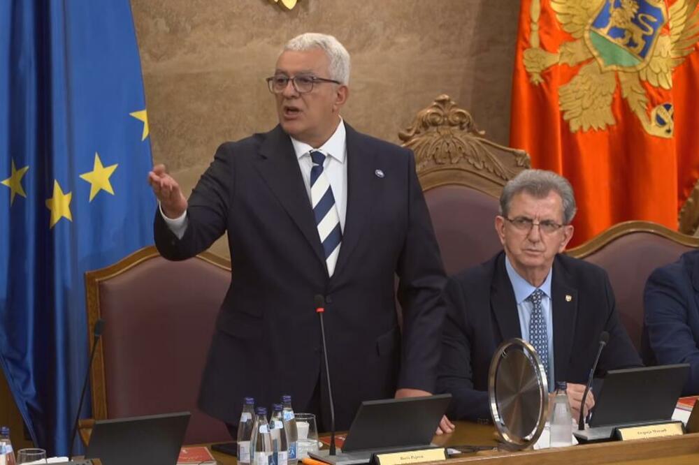 Foto: Screenshot/Skupština Crne Gore