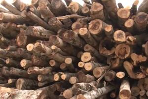 Cijena peleta za četiri godine skočila više od 100 odsto, država...