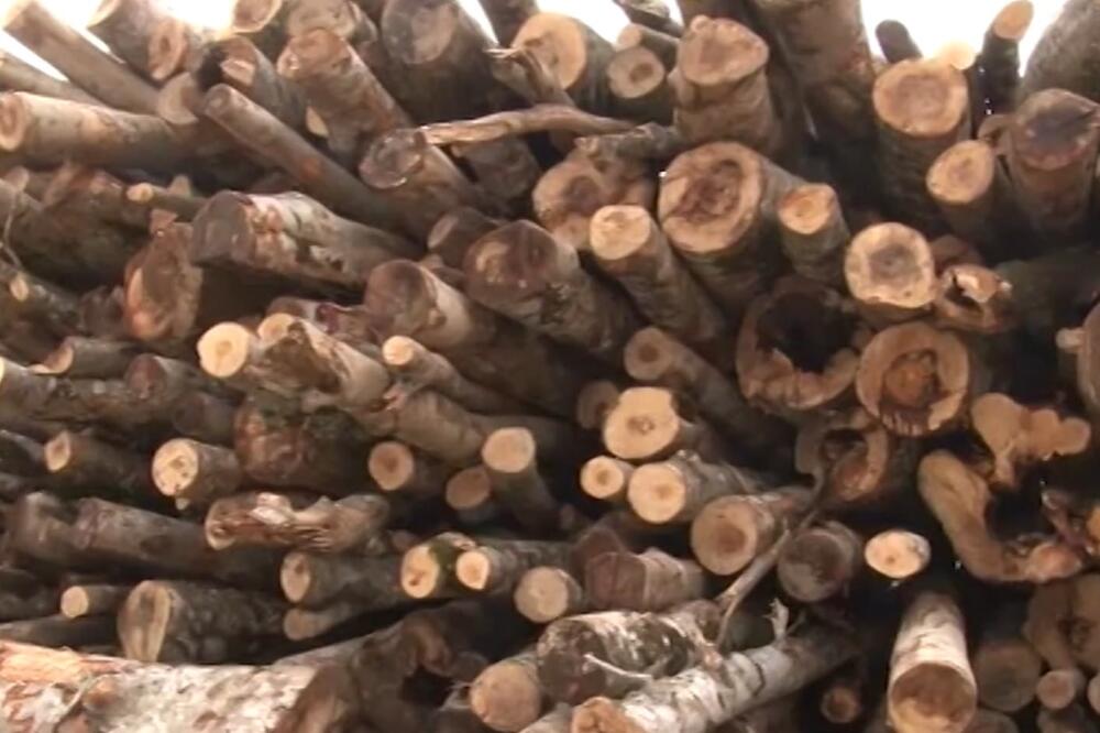 Ilustracija, Foto: Screenshot/TV Vijesti