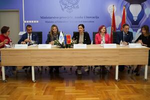 Saradnja institucija i civilnog sektora u prevenciji seksualnog...