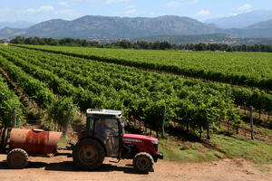 Pravo na povrat akcize po hektaru, ali i grlu