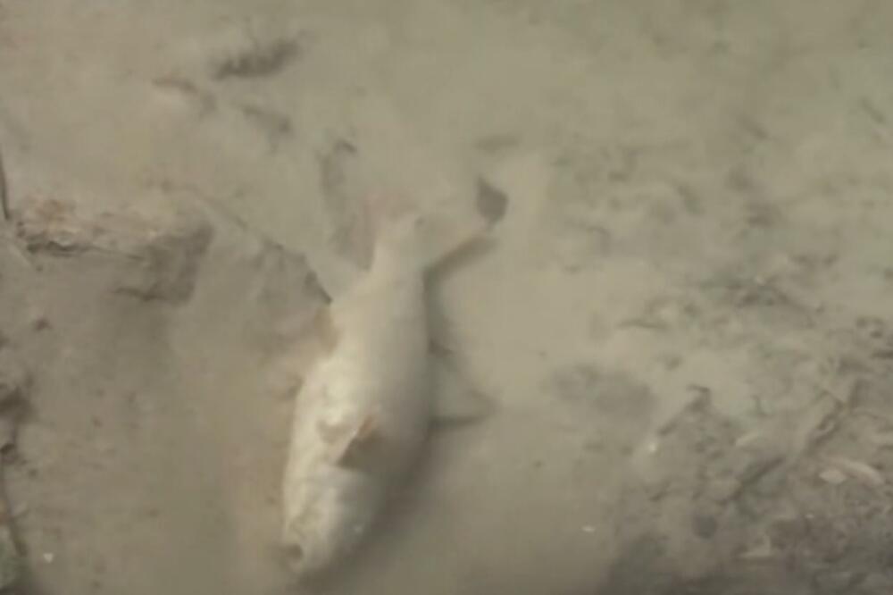 Foto: Screenshot/TV Vijesti