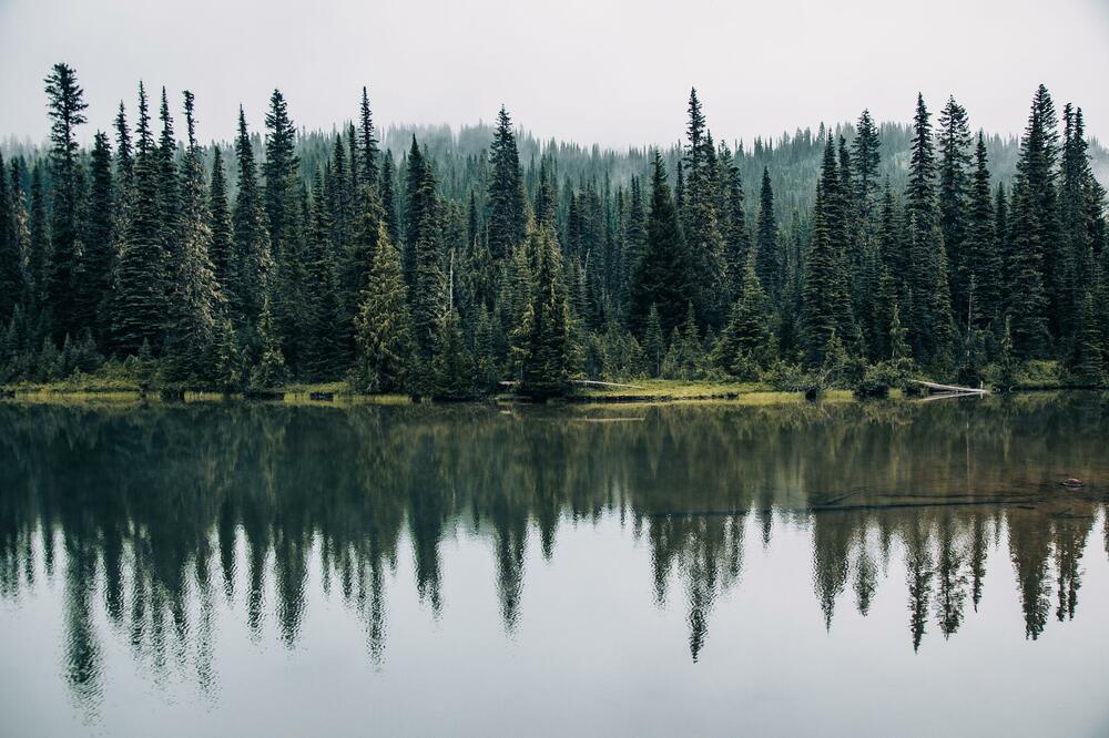 Ilustracija, Foto: Shutterstock