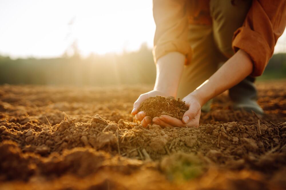 Ilustracija, Foto: Shutterstock