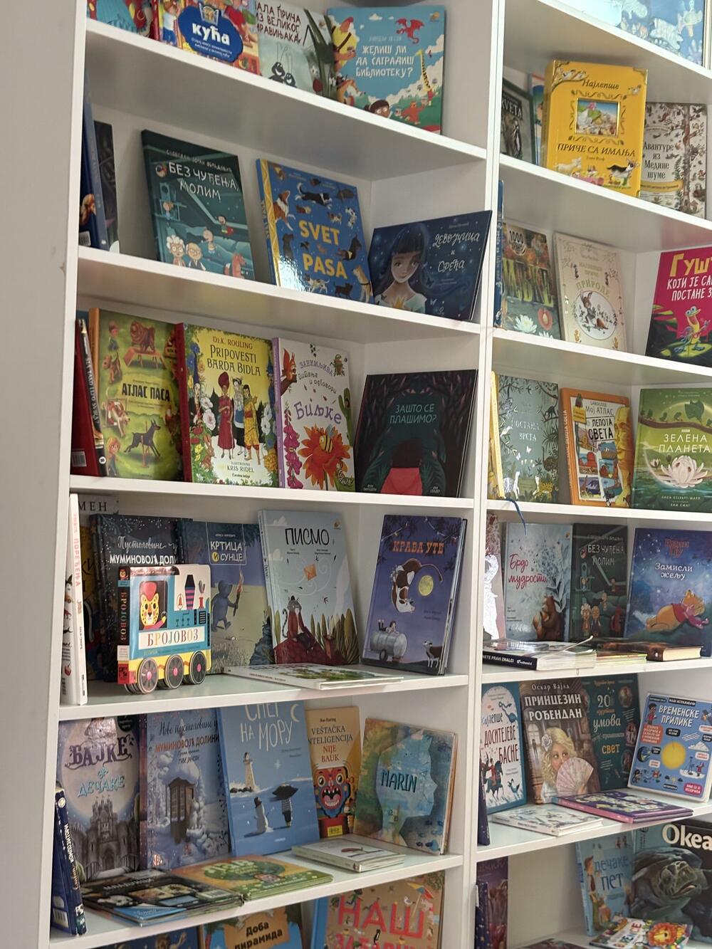 Detalj iz biblioteke