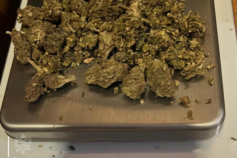 Foto: Uprava policije