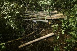 Privedeno više osoba, oduzete bejzbol palice: Pripreman napad na...