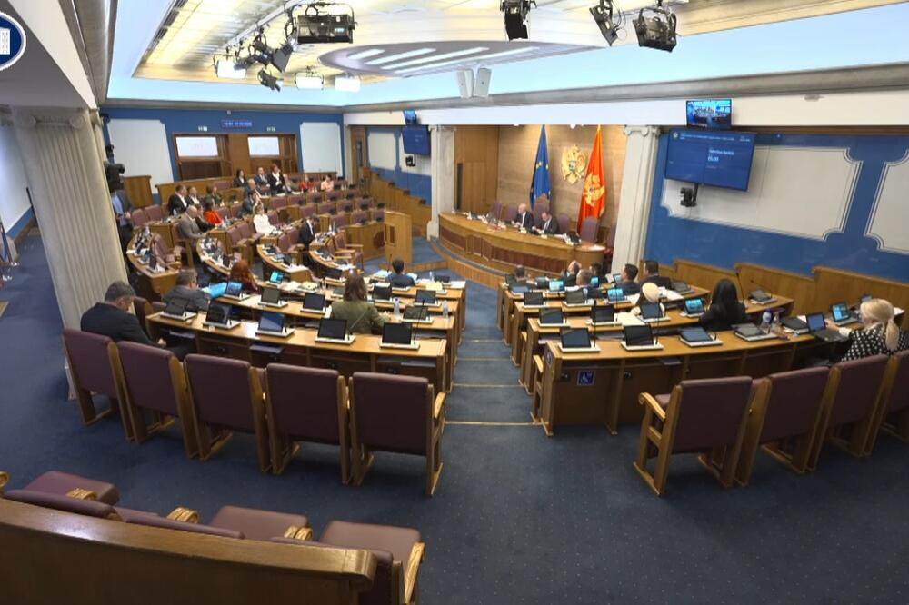 Sa sjednice, Foto: Screenshot/Youtube/Skupština Crne Gore