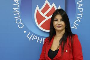 Lutovac: Naše razlike nijesu slabost već bogatstvo koje treba...