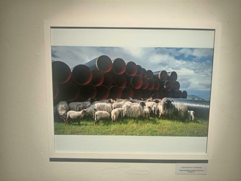 Fotografija Sofije Đukanović