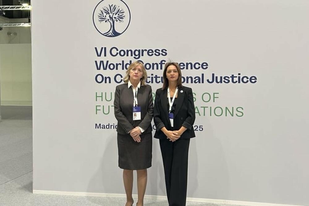 Armenko i Lopičić, Foto: Ustavni sud