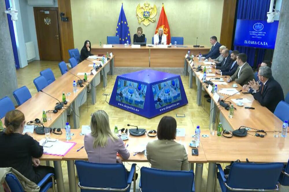 Foto: Skupština Crne Gore/Youtube