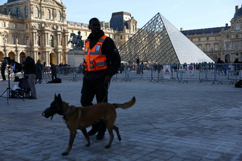 Luvr (Ilustracija), Foto: REUTERS