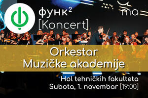 Nastupa Kamerni orkestar Muzičke akademije