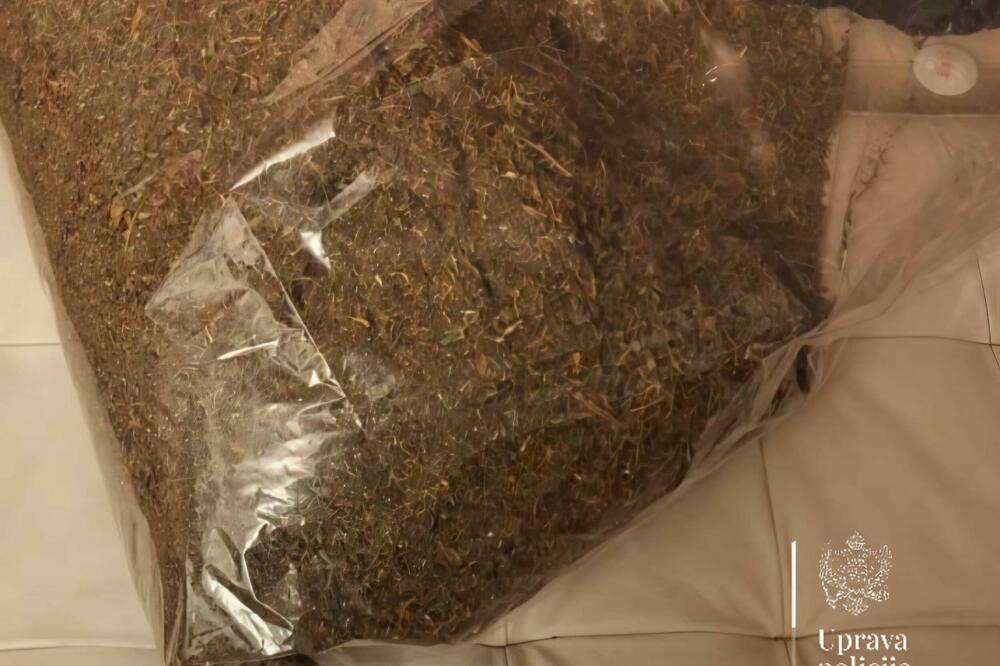 Pronađena marihuana, Foto: Uprava policije